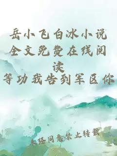 岳小飞白冰小说全文免费在线阅读